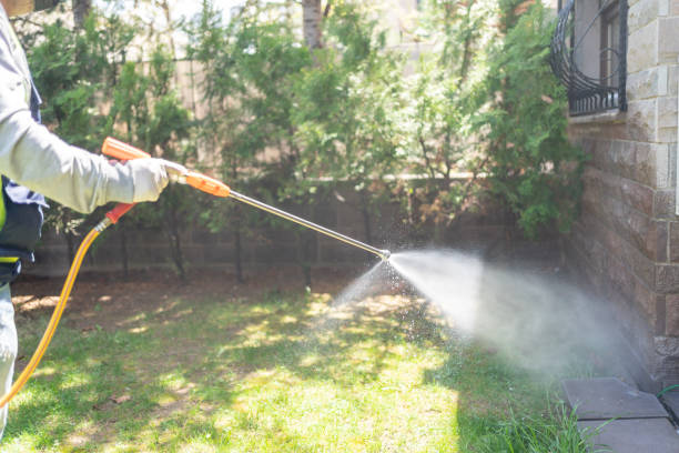 Best Pest Prevention Services  in Edmonston, MD
