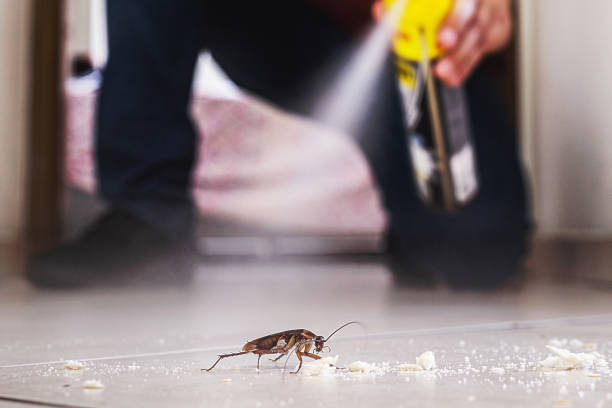 Best Pest Control Near Me  in Edmonston, MD